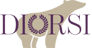 diorsi.com.br